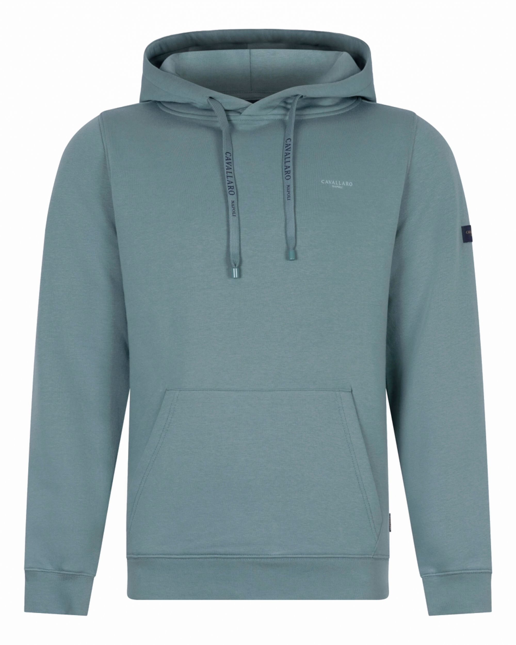 Cavallaro Marizino Hoodie Groen 080268-001-L