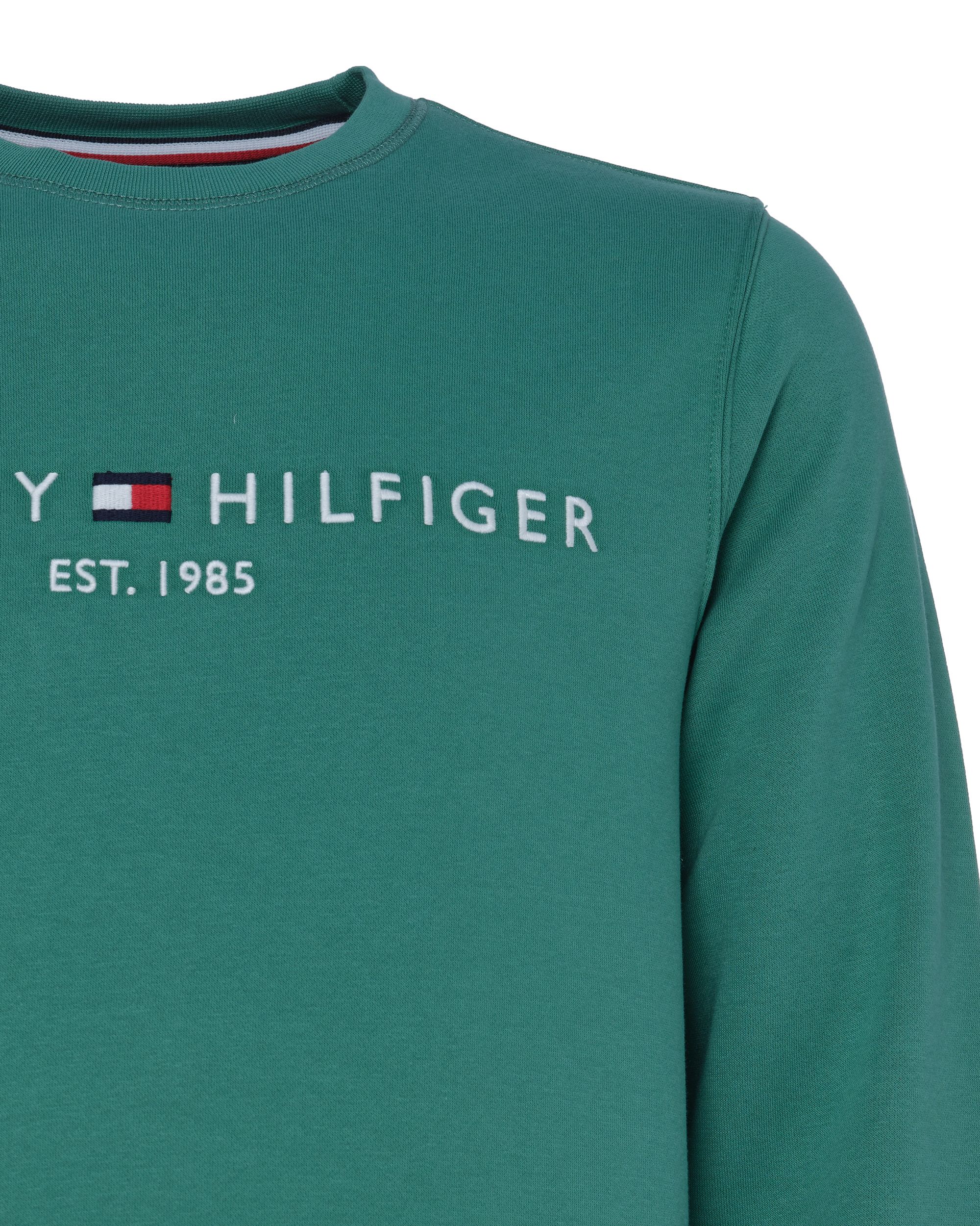 Tommy Hilfiger Menswear Sweater Groen 081214-001-L