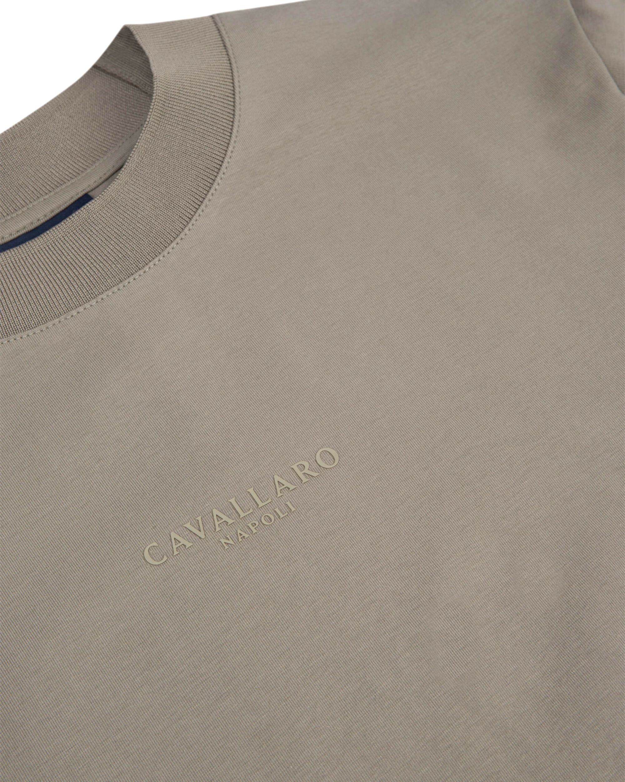 Cavallaro Darenio T-shirt KM Groen 094419-001-L