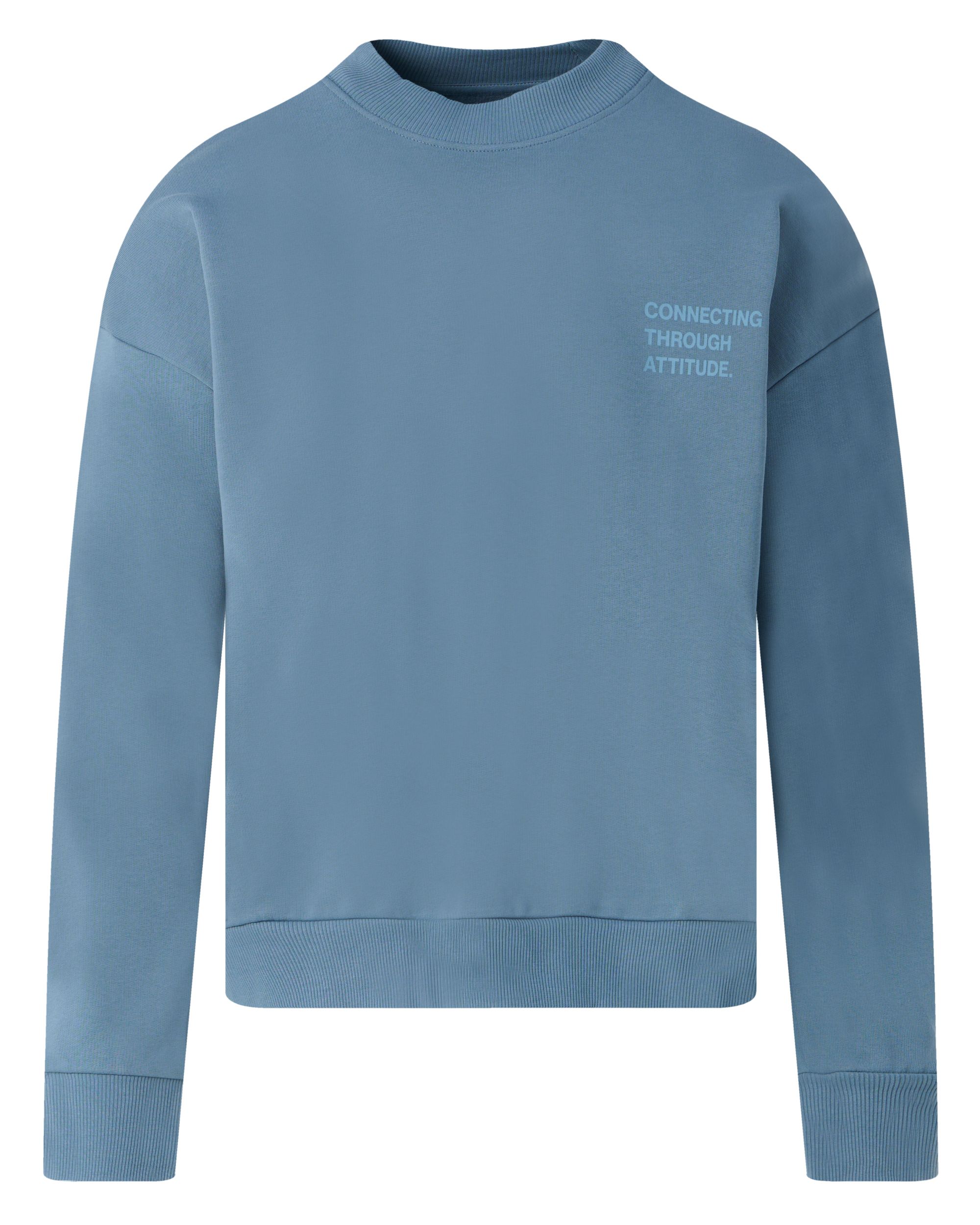 J.C. RAGS Anton Sweater Blue Fusion 095834-006-L