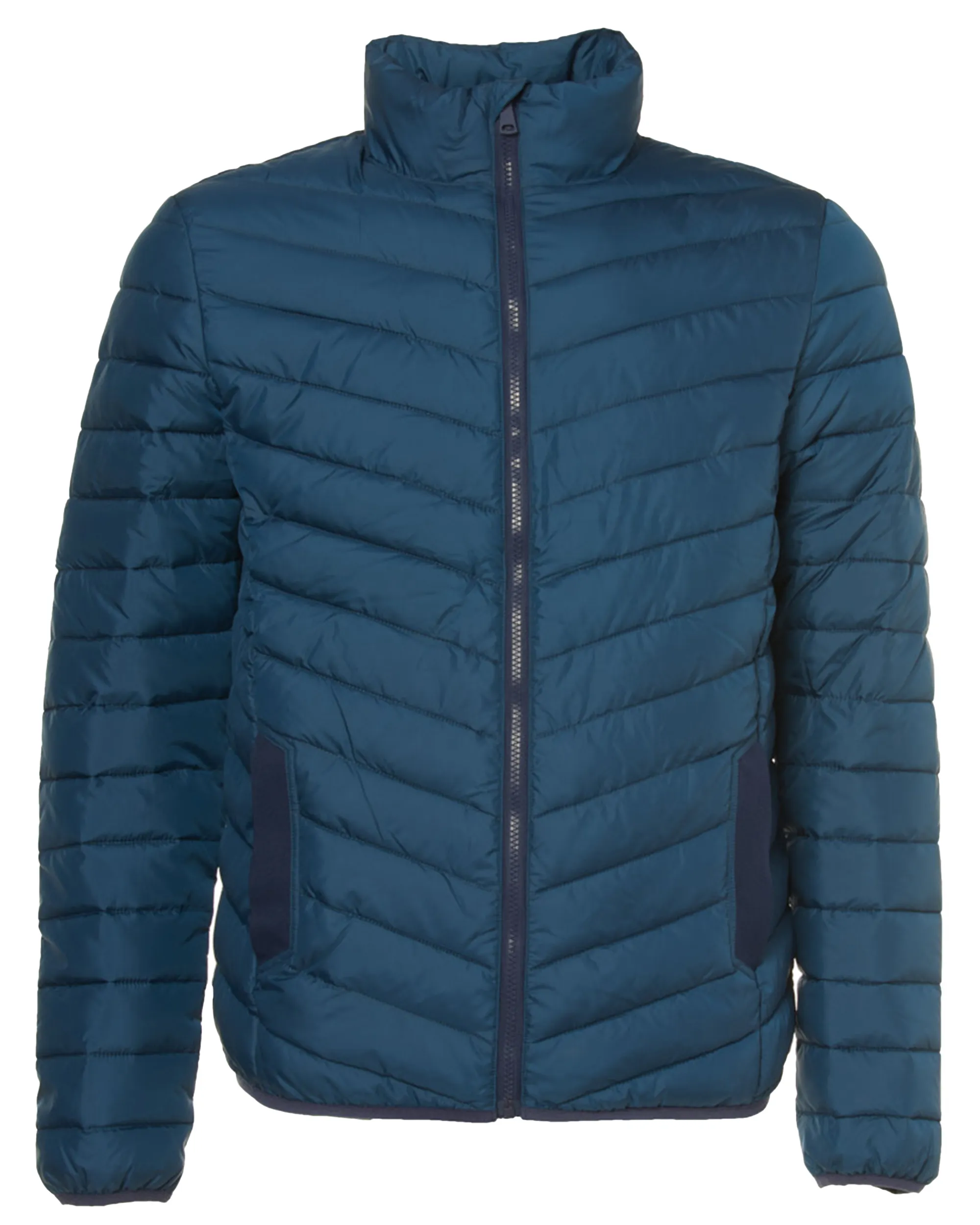 The BLUEPRINT Premium Gewatteerde jas Petrol uni 070147-002-L