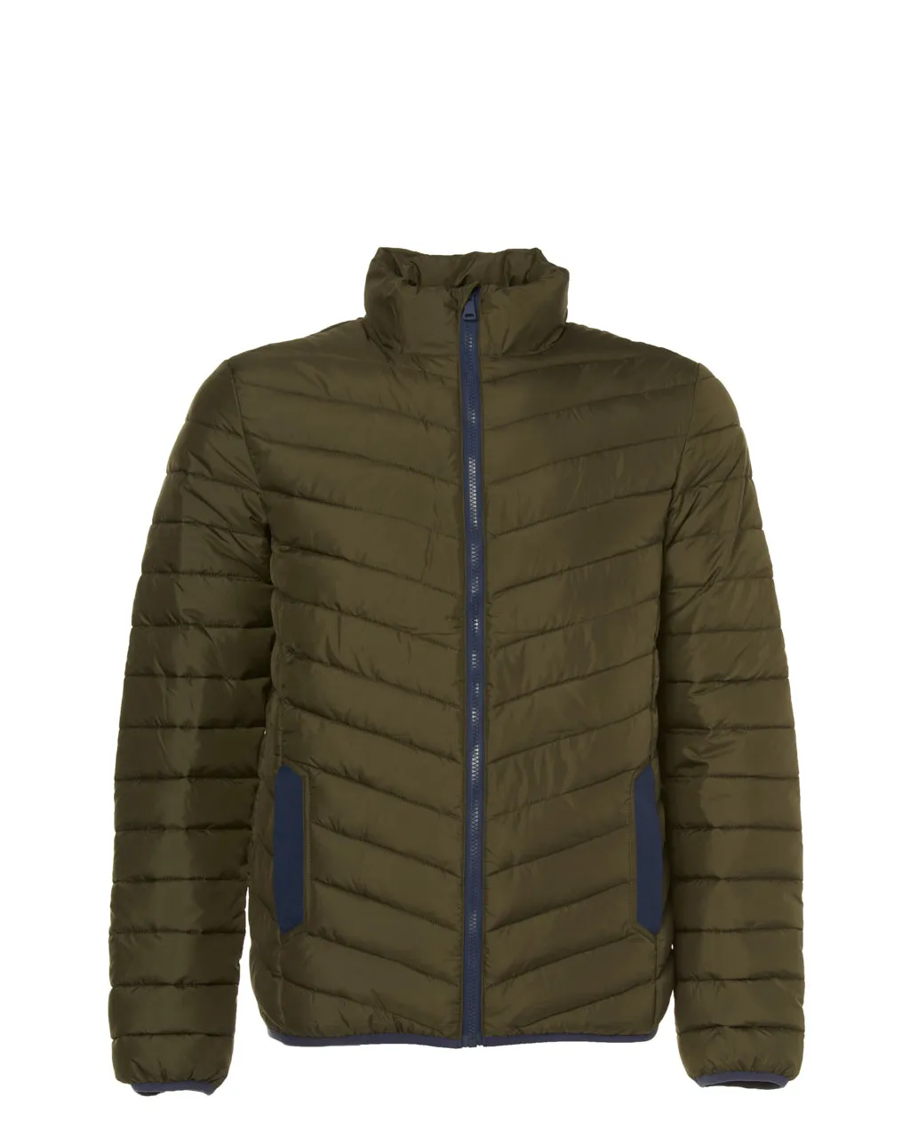 The BLUEPRINT Premium Gewatteerde jas Donkergroen uni 070147-003-L