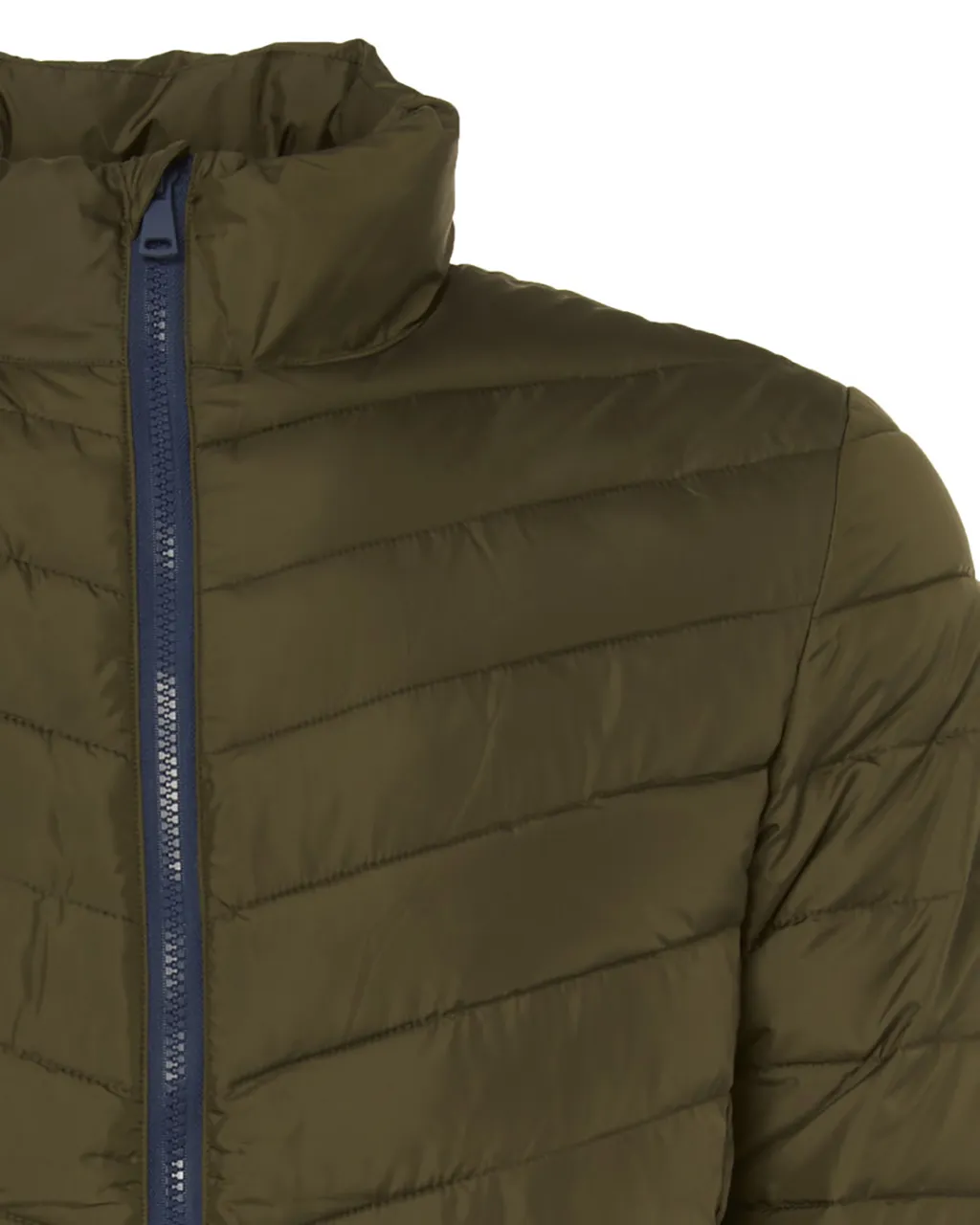 The BLUEPRINT Premium Gewatteerde jas Donkergroen uni 070147-003-L