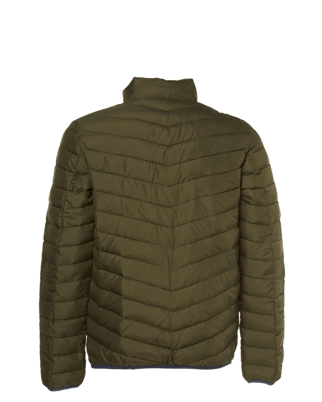 The BLUEPRINT Premium Gewatteerde jas Donkergroen uni 070147-003-L