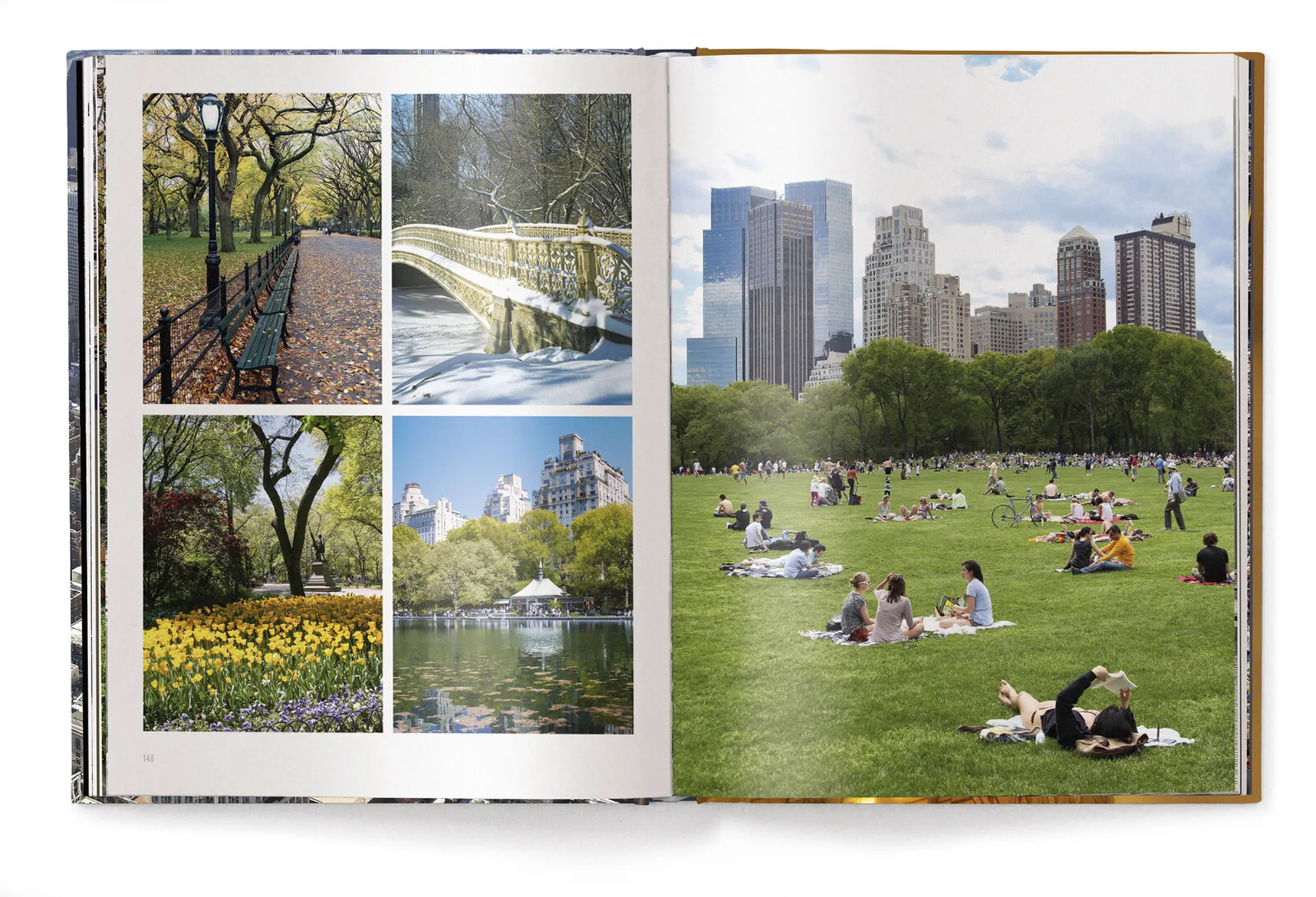 TeNeues Iconic New York NVT 092191-001-0
