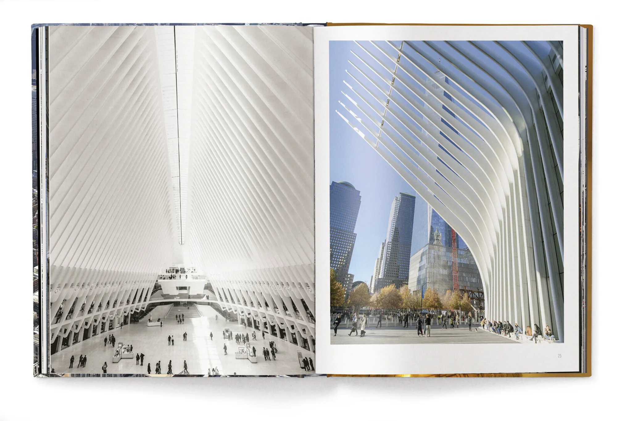 TeNeues Iconic New York NVT 092191-001-0