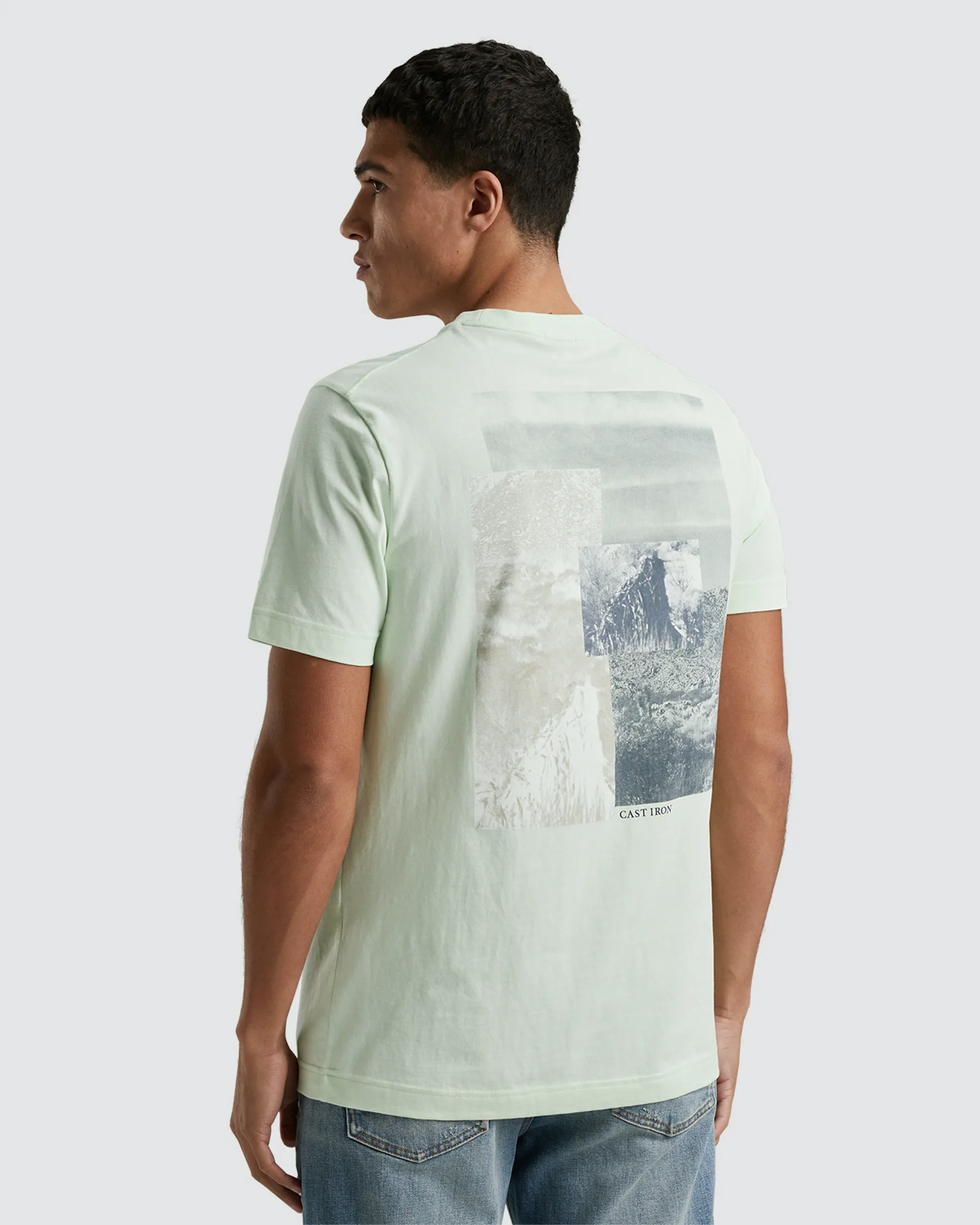 Cast Iron T-shirt KM Groen 093878-001-L