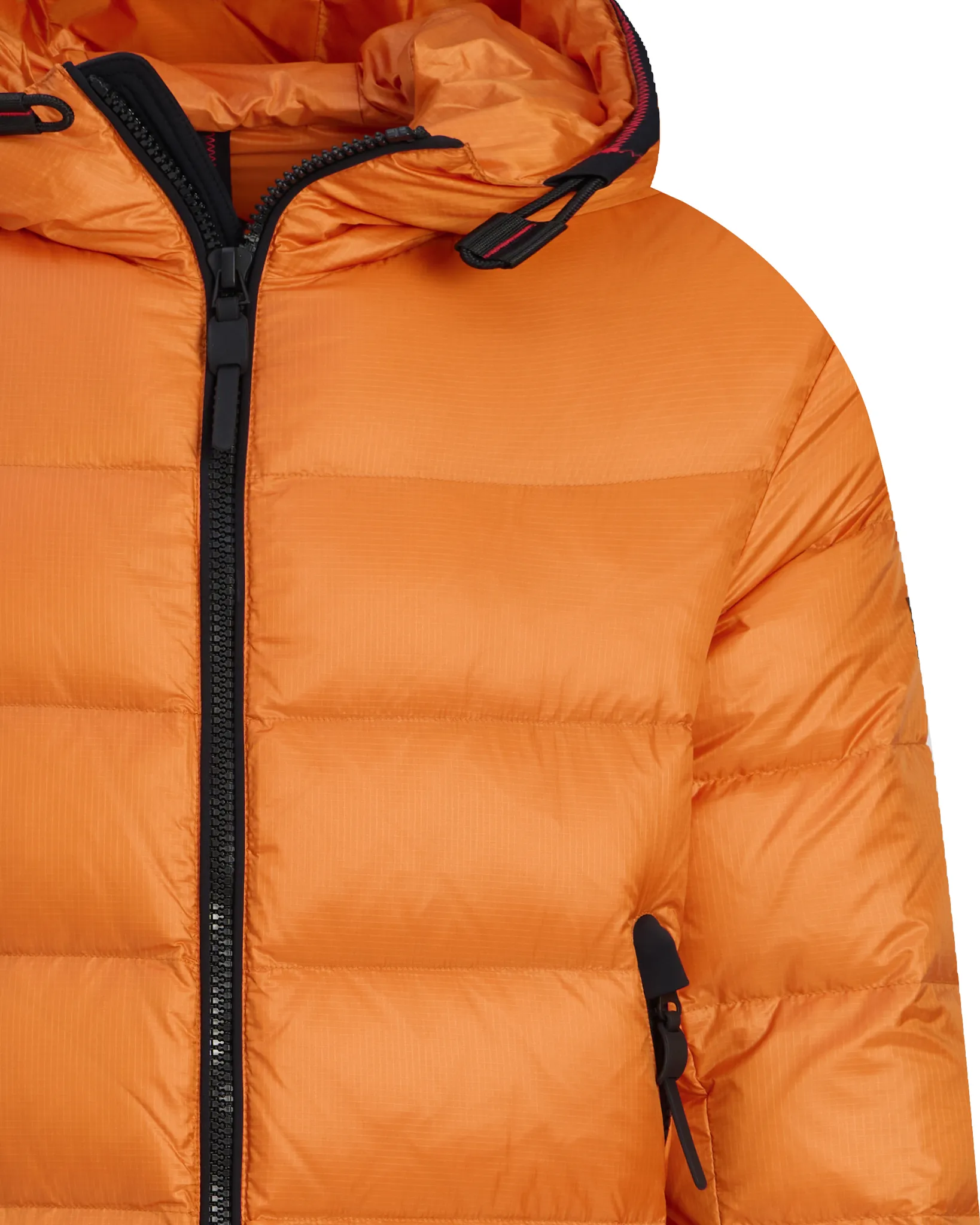 Peuterey Jack Multicolor 098249-001-L