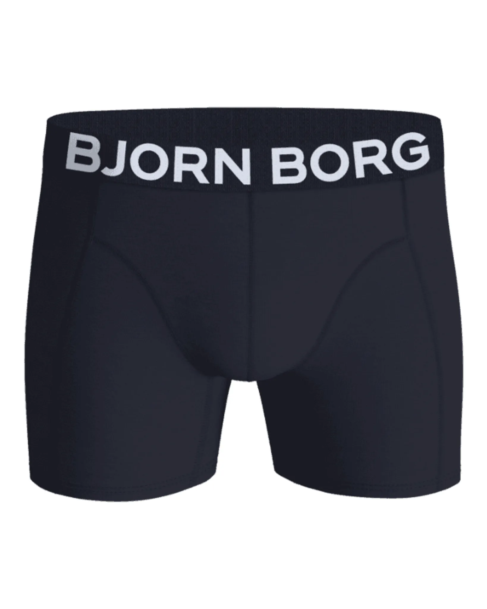 Björn Borg 2-pack Boxershort Multicolor 110646-001-L