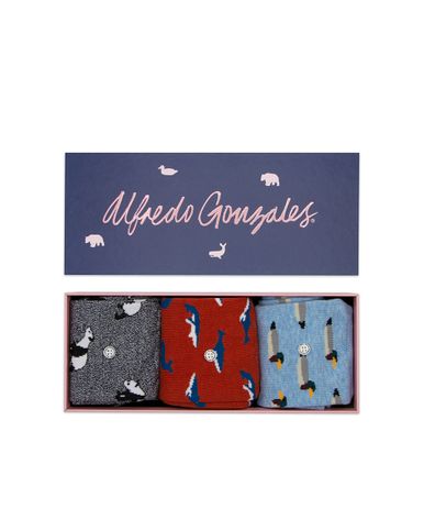 Alfredo Gonzales  Giftbox 3-pack