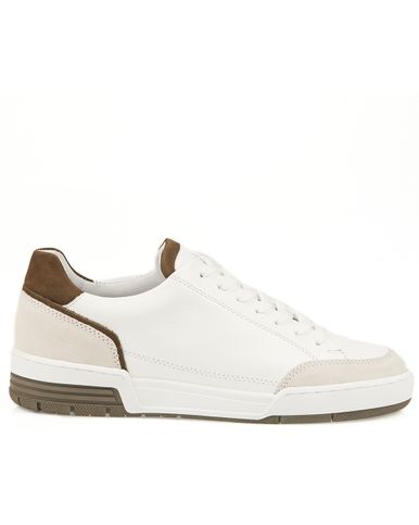 Campbell Classic Sneakers
