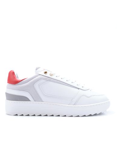 Nubikk Cliff Cane Sneakers