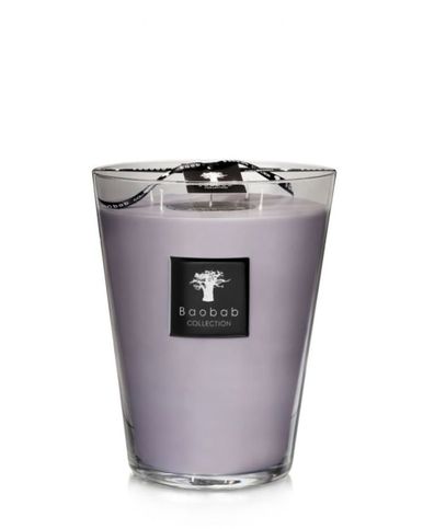 Baobab Max 24 White Rhino Luster