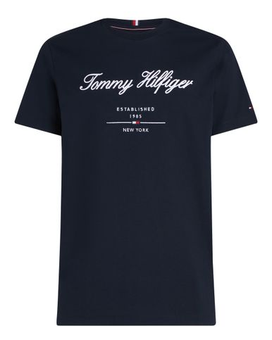 Tommy Hilfiger Menswear T-shirt KM