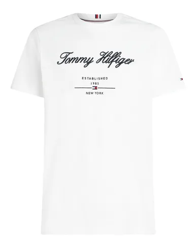 Tommy Hilfiger Menswear T-shirt KM