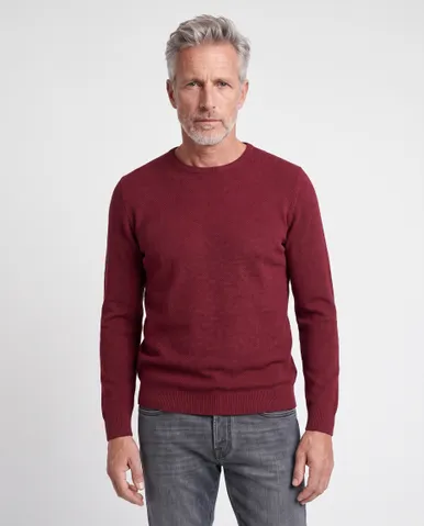 The BLUEPRINT Premium Trui O-hals