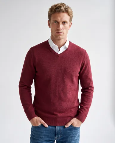 The BLUEPRINT Premium Trui V-hals