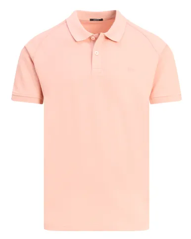 Denham Brian Polo